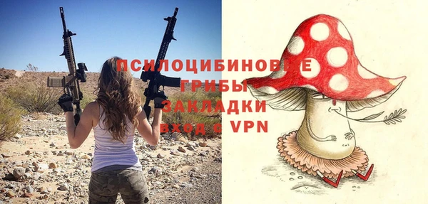 a pvp Арсеньев